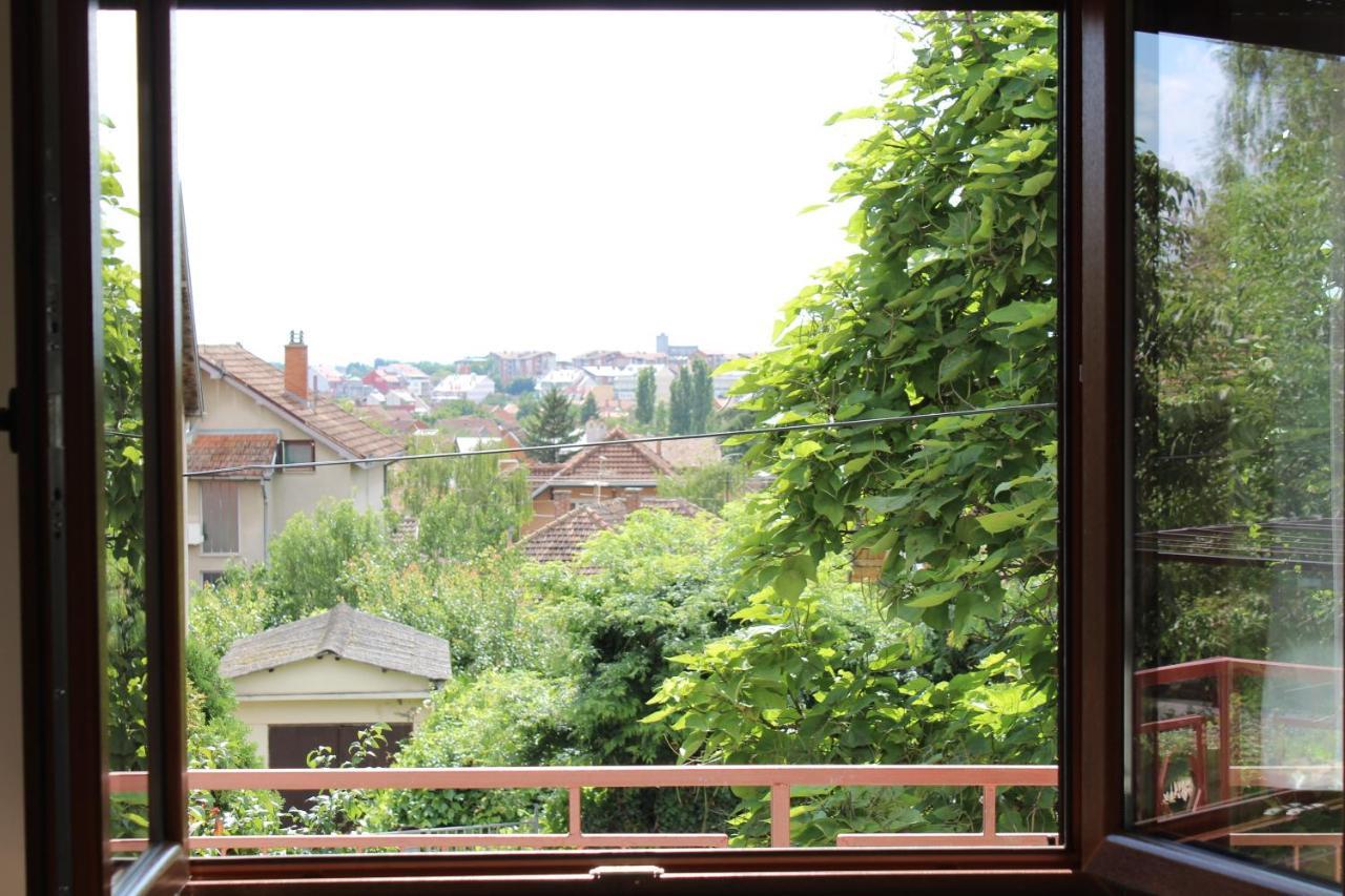 M Apartment Vrsac Esterno foto