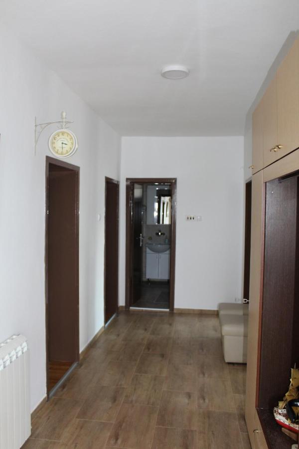 M Apartment Vrsac Esterno foto