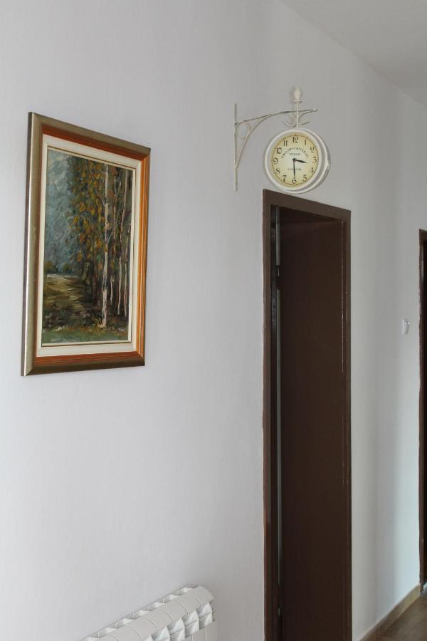 M Apartment Vrsac Esterno foto